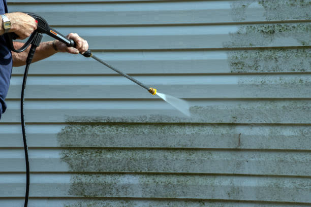 Best Affordable Pressure Washing  in Schleswig, IA