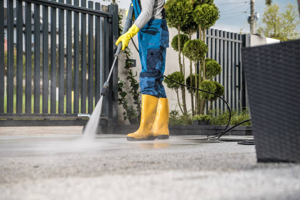 Best Deck Cleaning Services  in Schleswig, IA