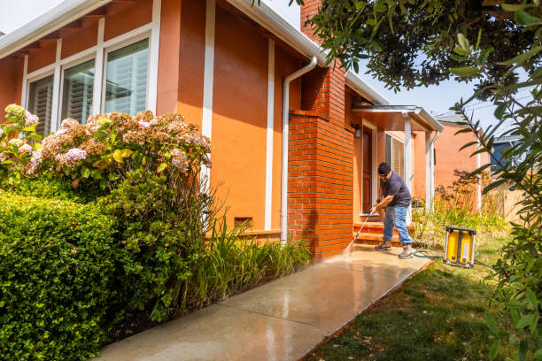 Best Pressure Washing Services Near Me  in Schleswig, IA