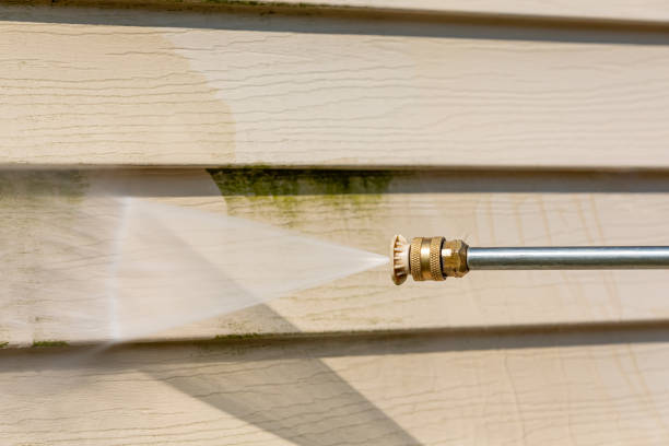 Best Best Pressure Washing Companies  in Schleswig, IA